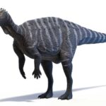 Museum’s Big Dig: Shocking Discovery