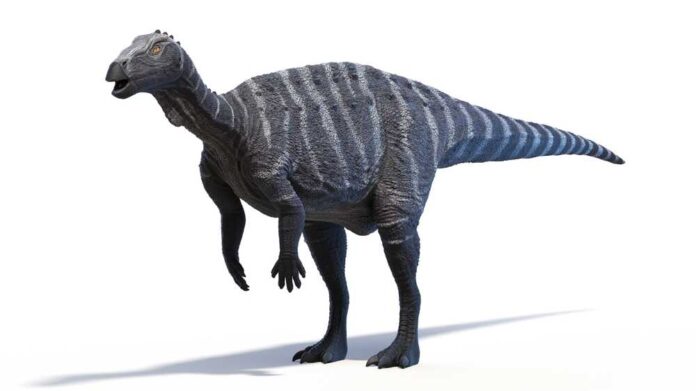 3d,Rendered,Dinosaur,Illustration,Of,A,Thescelosaurus