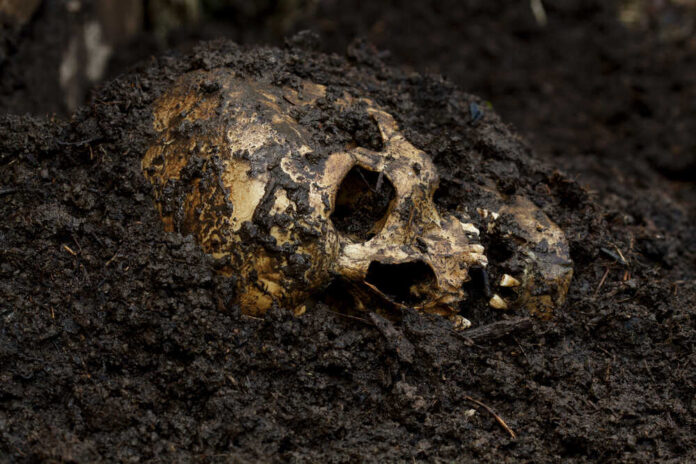 Real,Human,Skull,Figured,As,Crime,Scene