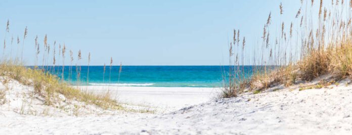 View,Through,The,Dunes,To,The,Blue,Ocean,And,Oats