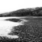 Cracked earth beside water under overcast sky.