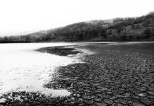 Cracked earth beside water under overcast sky.