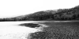 Cracked earth beside water under overcast sky.