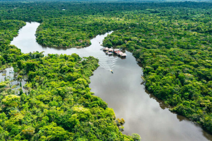 Aerial view of river and lush green forest