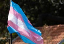 Transgender pride flag waving in the breeze