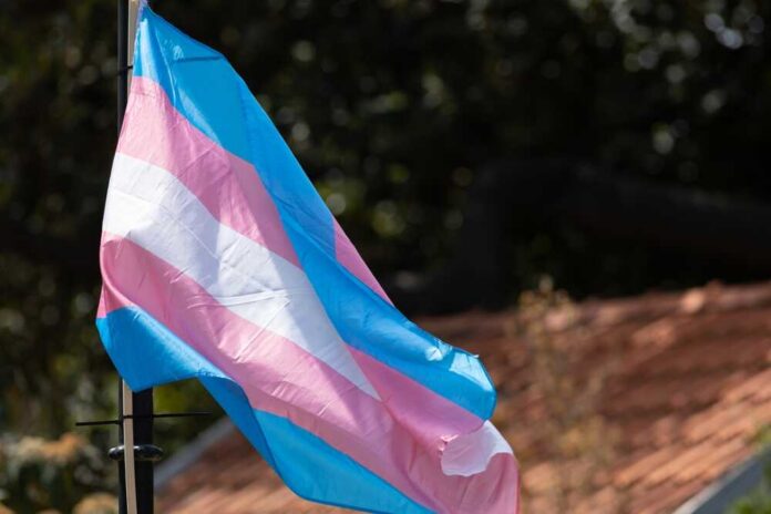 Transgender pride flag waving in the breeze