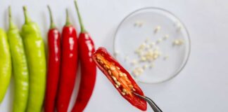 Hand holding a sliced red chili pepper with seeds visible