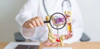 Doctor examining an anatomical model of the digestive system with a magnifying glass