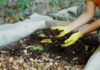 Person wearing gloves working in a compost pile