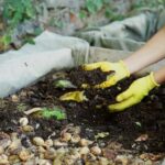 Person wearing gloves working in a compost pile