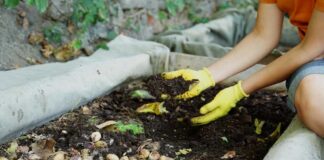 Person wearing gloves working in a compost pile