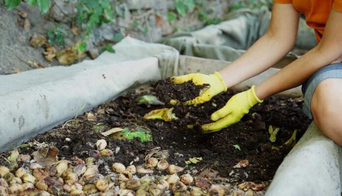 Person wearing gloves working in a compost pile
