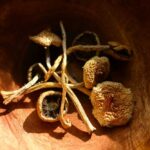 Dried mushrooms arranged in a wooden bowl