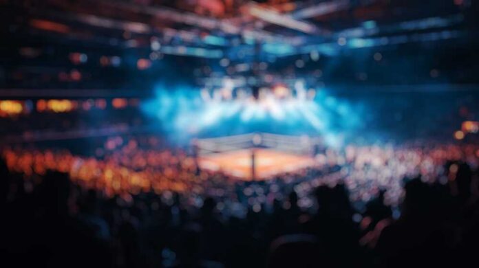 Blurred view of a boxing ring surrounded by a cheering crowd