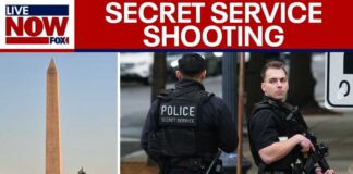 Secret Service shoots armed person in DC, White House