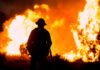Explosive Wildfire GROWTH—What’s To Blame? Firefighter silhouetted against massive wildfire flames