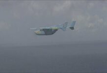 Former Cuban pilot sentenced to prison in immigration fraud case