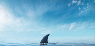 A shark fin emerging from calm ocean waters under a blue sky