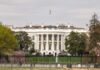 The White House surrounded by greenery and blooming flowers