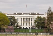 The White House surrounded by greenery and blooming flowers