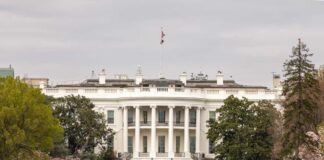 The White House surrounded by greenery and blooming flowers