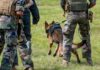 Military personnel training with a working dog in a grassy field