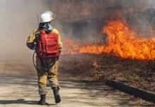 Firefighter approaches brush fire with backpack hose
