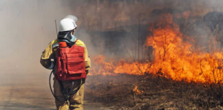 Firefighter approaches brush fire with backpack hose