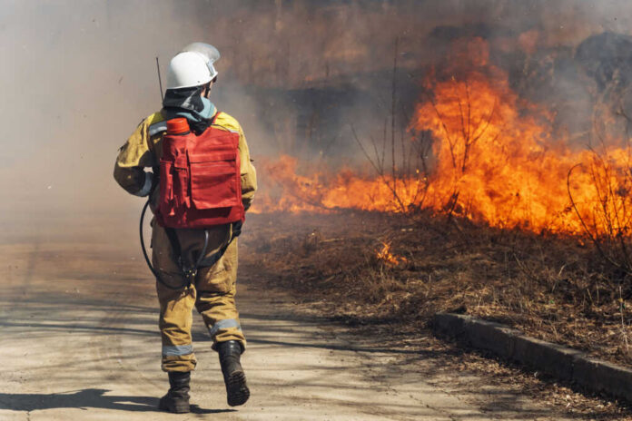 Firefighter approaches brush fire with backpack hose