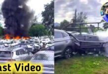 Oliver Tree Reportedly Among Victims in Rio de Janeiro Helicopter Crash | Oliver Tree death news