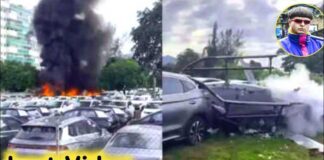 Oliver Tree Reportedly Among Victims in Rio de Janeiro Helicopter Crash | Oliver Tree death news
