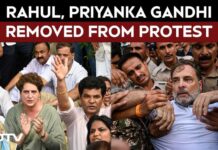 India’s Student Protests Turn Into Political Crisis Rahul Gandhi News | Rahul, Priyanka Gandhi Removed From Protest Outside PM Modi's House