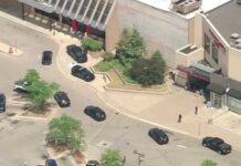 2 killed, 1 hurt in Fairlane Mall shooting