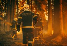 Wildfire Smoke Puts World Cup Air On Watch Firefighters walking through a smoky forest during a wildfire