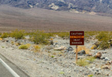 America’s Hottest Town Never Stops Living Warning sign about extreme heat in a rocky desert landscape