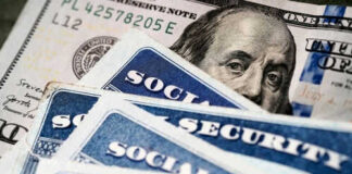 Social Security cards with one hundred dollar bill