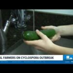 CDC issues new guidance to wash fruits, vegetables amid Cyclospora outbreak