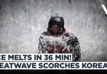 Seoul Declares Its Highest Heat Emergency South Korea Heatwave Turns Deadly | Ice Melts In 36 Minutes As Seoul Nears 40°C | VERTEX