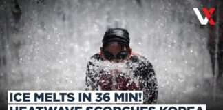 South Korea Heatwave Turns Deadly | Ice Melts In 36 Minutes As Seoul Nears 40°C | VERTEX