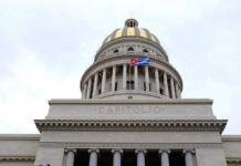 Capitol building dome with columns and a flag