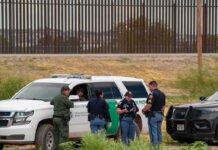 Fentanyl Deaths Fall as Border Crackdown Hits Stride law enforcement officers confer beside patrol vehicles near a border fence