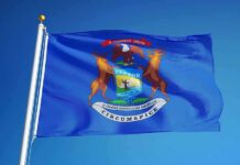 Viral Hype, Ballot Pain — Panic Inside DNC Michigan state flag waving on a flagpole