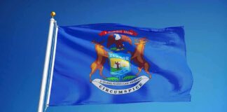 Michigan state flag waving on a flagpole