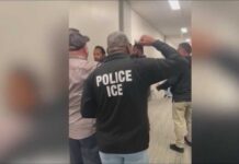 ICE Arrests Surge To A Stunning New Record Immigration arrests in San Diego and Imperial Counties reach record highs
