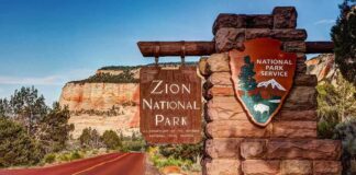 Zion National Park entrance sign beside red road and sandstone cliffs