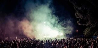 crowd at an outdoor night concert