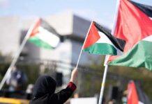 Person waving a Palestinian flag at a rally
