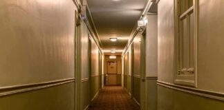 empty hotel hallway with patterned carpet and closed doors