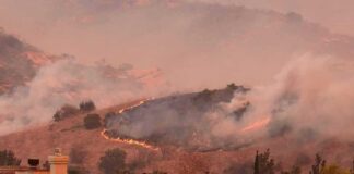 Wildfire burns on hillside near suburban homes